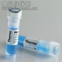 β-酪蛋白()兔抗山羊、綿羊