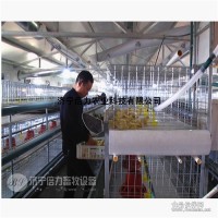 雞用pp自動清糞帶 雞舍清糞皮帶