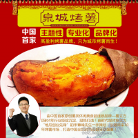 2015創(chuàng)業(yè)項(xiàng)目 薯立方 泉城烤薯