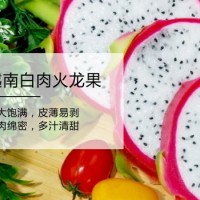 廣州人氣百森水果杯加盟