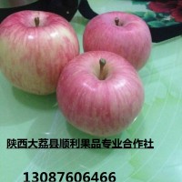 陜西高原紅膜袋紅富士蘋果大量招商