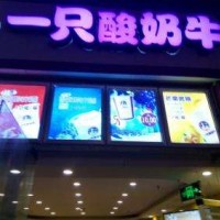 一只酸奶牛加盟-全技術輸出,總部全程培訓