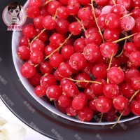 出口級冷凍紅加侖100克/袋招代理