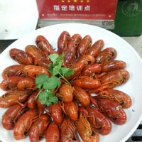 特色鹵蝦技術(shù)培訓(xùn)班，鹵蝦培訓(xùn)