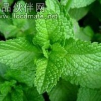 特價批量供應薄荷香精