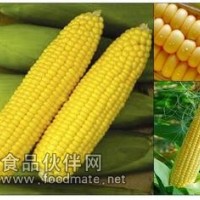 精品：葡萄糖/食用葡萄糖/無水葡萄糖/西王葡萄糖全國銷售