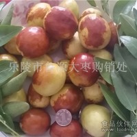 山東鮮棗產(chǎn)地供應(yīng)商代理