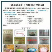 青島特色小吃海涼粉招商