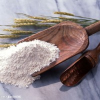 廠家直銷面粉廠用威化蛋卷粉酶制劑