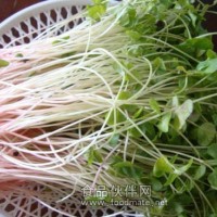 新農村綠色蔬菜—蕎麥苗河南地區誠招代理商