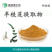 恒瑞康SC工廠直銷 半枝蓮提取物 全國招商