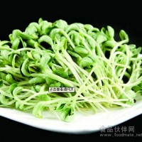 新農村綠色蔬菜—黑豆苗河南地區誠招代理商
