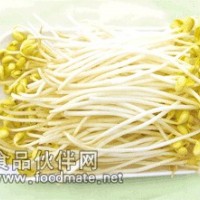 新農村綠色蔬菜—黃豆芽河南地區誠招代理商