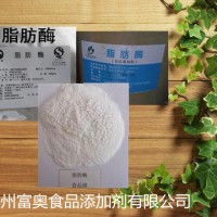 廠家供應(yīng)優(yōu)質(zhì)食品級 脂肪酶 酶活力10萬單位-40萬單位