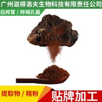 俄羅斯樺樹茸粉提取物OEM代加工廠家