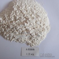 木聚糖酶