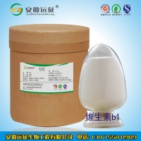 遠征食品級維生素b1生產廠家 維生素b1價格