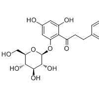 根皮苷 hplc98% 60-81-1