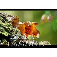 天然桃膠 阿拉伯膠 食用桃膠 東盛桃膠