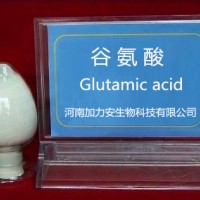 L-谷氨酸 谷氨酰胺 L-谷氨酸廠家