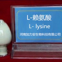 L-賴氨酸鹽酸鹽 L-賴氨酸