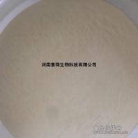 廠家直銷食品級增稠凝固劑瓊脂粉