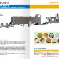人造大米擠壓機雙螺桿膨化機