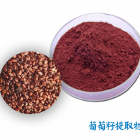 葡萄籽提取物 原花青素OPC  葡萄籽粉【宿州金能】