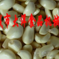 大蒜脫皮機【新報價】新款去蒜皮機、蒜米機