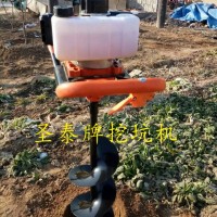 小型果樹挖坑機 手提式挖坑機廠家