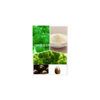 羅漢果甜苷甜甙60%HPLC   替糖劑