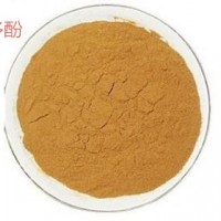 食品級茶多酚供應