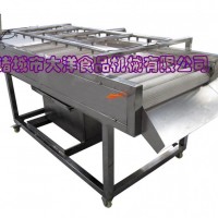 QZ型高品質凍干草莓清洗去雜機