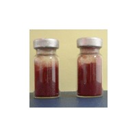 維生素B12價格，維生素B12生產(chǎn)廠家