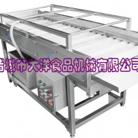 刷輥式荔枝清洗去雜機器 廠家直接發貨