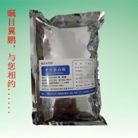 中性蛋白酶 廠家直銷