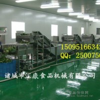 全自動果蔬清洗機  蔬菜清洗機廠家