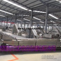 CQX型蔬菜清洗機|全自動豆芽清洗機