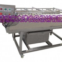 大洋牌果蔬去雜機 暢銷的單層毛刷式果蔬清洗設備