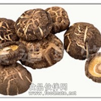 香菇菌絲粉 康道生物供應香菇菌絲粉