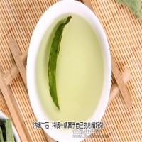 甜菊糖總甙含量90