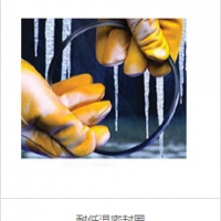 耐低溫密封圈