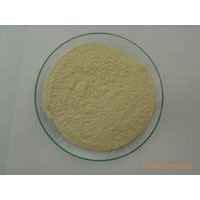 食品級L-蛋氨酸   L-蛋氨酸廠家