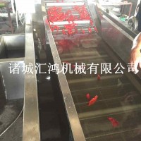 紅辣椒清洗機(jī) 氣泡連續(xù)清洗線
