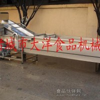 蔬菜清洗機選大洋牌氣泡清洗機