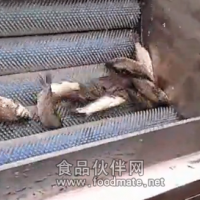 去魚鱗機 脫魚鱗機