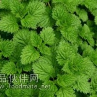 薄荷素油 薄荷素油的用途  薄荷油