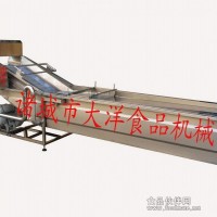 全自動氣浪清洗機 不銹鋼果蔬清洗設(shè)備