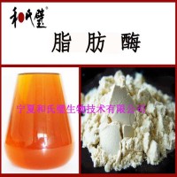 供應(yīng)食品級(jí)2萬(wàn)活力脂肪酶
