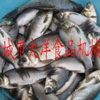 去魚鱗機價格|批發魚鱗機|魚鱗去皮機【低價銷售】